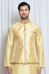 Aryavir Malhotra_Gold Silk Glitter Border Nehru Jacket _Online_at_Aza_Fashions