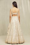 Gopi Vaid_Beige Lehenga Georgette Embroidered Resham Daina Mirror Bridal Set _Online_at_Aza_Fashions