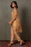 RI.Ritu Kumar_Beige Silk Organza Printed Primrose Spread Collar Shirt Pant Set _Online_at_Aza_Fashions