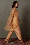 Buy_RI.Ritu Kumar_Beige Silk Organza Printed Primrose Spread Collar Shirt Pant Set _Online_at_Aza_Fashions