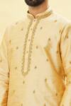 Arihant Rai Sinha_Gold Silk Embroidered Floral Botanic Pattern Kurta And Churidar Set _at_Aza_Fashions