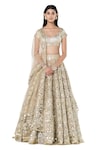 Buy_Abhinav Mishra_Beige Net Embroidered Mirror Leaf Floral Bridal Lehenga Set_at_Aza_Fashions