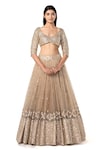 Shop_Abhinav Mishra_Gold Net Embellished Mirror Leaf Bridal Lehenga Set_Online_at_Aza_Fashions