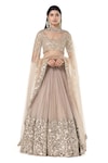 Abhinav Mishra_Grey Net Embroidered Mirror Scoop Pleated Bridal Lehenga Set _Online_at_Aza_Fashions