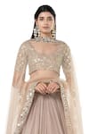 Buy_Abhinav Mishra_Grey Net Embroidered Mirror Scoop Pleated Bridal Lehenga Set 