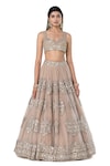 Abhinav Mishra_Grey Lehenga- Organza Embroidered Mirror Sweetheart Floral Butta Bridal Set_Online_at_Aza_Fashions