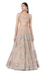 Buy_Abhinav Mishra_Grey Lehenga- Organza Embroidered Mirror Sweetheart Floral Butta Bridal Set_Online_at_Aza_Fashions