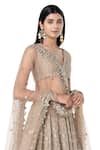 Buy_Abhinav Mishra_Grey Lehenga And Blouse- Chanderi Embroidered Mirror V Neck Floral Bridal Set_Online_at_Aza_Fashions