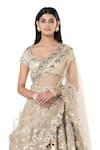 Abhinav Mishra_Beige Net Embroidered Mirror Leaf Floral Bridal Lehenga Set_at_Aza_Fashions