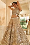 Buy_Abhinav Mishra_Grey Net Embroidered Mirror Round Embellished Bridal Lehenga Set