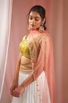 Buy_Krina Patel_White Silk, Net, Linen, Satin Waistband Embroidered Pleated Lehenga Blouse Set_Online_at_Aza_Fashions