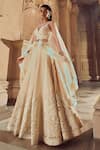 Shop_Pankaj & Nidhi_Pink Tulle Mir Hand Embellished Lehenga Cape Set _Online_at_Aza_Fashions