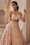 Shop_Pankaj & Nidhi_Pink Tulle Solarium Hand Embellished Lehenga With Blouse _at_Aza_Fashions