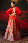 Shop_Ekaya_Red Silk Banarasi Kadhwa Paisley Motifs Handwoven Lehenga _at_Aza_Fashions