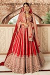 Buy_Annus Creation_Red Silk Embroidered Cutdana Sweetheart Panelled Bridal Lehenga Set _at_Aza_Fashions