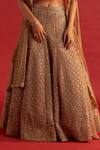 Buy_Reeti Arneja_Gold Organza, Net Cut Work, Smocking Zardozi Embroidered Bridal Lehenga Set 