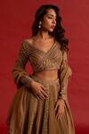 Reeti Arneja_Gold Silk, Organza Zari, Cut Work, Honeyed Pleated Embroidered Lehenga Set _Online_at_Aza_Fashions