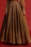 Shop_Reeti Arneja_Gold Silk, Organza Zari, Cut Work, Honeyed Pleated Embroidered Lehenga Set _Online_at_Aza_Fashions
