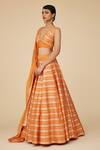 Priyal Prakash_Orange , Organza Sequins V-neck Chevron Embroidered Lehenga Set _Online_at_Aza_Fashions