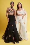 Surily G_Black Organza Hand Embroidered Cut Dana Fish Lehenga Skirt _Online_at_Aza_Fashions