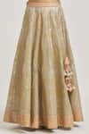 Vandana Sethi_Gray Organza Embroidery Gota Patti V Neck Paisley Lehenga Set _at_Aza_Fashions