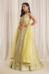 Buy_Chaashni by Maansi and Ketan_Green Organza Embroidered Sequin V-neck Lehenga Set _Online_at_Aza_Fashions