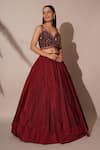 Chaashni By Maansi And Ketan_Maroon Organza Beads Sweetheart Neck Waistband Embroidered Lehenga Set _Online_at_Aza_Fashions