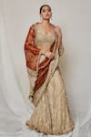 Etasha by Asha Jain_Pink Palazzo And Dupatta Metallic Tissue Draped Saree With Blouse _Online_at_Aza_Fashions