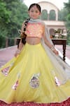 Buy_Panchhi by Kanupriya Tibrewala_Pink Blouse Organza Embroidery Firecracker Patakha Lehenga Set _at_Aza_Fashions