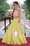 Buy_Panchhi by Kanupriya Tibrewala_Pink Blouse Organza Embroidery Firecracker Patakha Lehenga Set _Online_at_Aza_Fashions