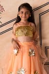 Panchhi by Kanupriya Tibrewala_Peach Blouse And Lehenga Silk Organza Embellished Lotus 3d Set _Online_at_Aza_Fashions