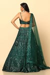 MeenaGurnam_Green Net Embroidery Sequin Sweetheart Lehenga Set _Online_at_Aza_Fashions