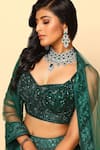 Shop_MeenaGurnam_Green Net Embroidery Sequin Sweetheart Lehenga Set _Online_at_Aza_Fashions