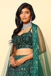 Shop_MeenaGurnam_Green Net Embroidery Sequin Sweetheart Lehenga Set _at_Aza_Fashions