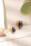 Buy_Mason Home_Black Metal Spike Sunburst Spheres - 2 Pcs_at_Aza_Fashions