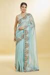 Buy_Priyal Bhardwaj_Blue Organza Hand Embroidered Sequin Resham Bordered Saree _at_Aza_Fashions