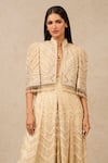 Tarun Tahiliani_Ivory Tulle Embroidery Sequin Mandarin Collar Stripe Cape _Online_at_Aza_Fashions