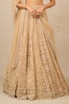 Tarun Tahiliani_Gold Tulle Embroidery Pearl Sweetheart Neck Floral Applique Bridal Lehenga Set _Online_at_Aza_Fashions