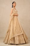 Buy_Tarun Tahiliani_Gold Tulle Embroidery Pearl Sweetheart Neck Floral Applique Bridal Lehenga Set _Online_at_Aza_Fashions