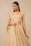 Shop_Tarun Tahiliani_Gold Tulle Embroidery Pearl Sweetheart Neck Floral Applique Bridal Lehenga Set _Online_at_Aza_Fashions