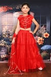 Buy_Petite Pomme_Red Net, Cotton, Silk Zari Lehenga And Ruffled Blouse Set_at_Aza_Fashions
