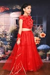 Petite Pomme_Red Net, Cotton, Silk Zari Lehenga And Ruffled Blouse Set_at_Aza_Fashions