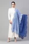 Buy_MODARTA_Blue Lace Valentino Border Shawl _at_Aza_Fashions