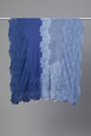 Shop_MODARTA_Blue Lace Valentino Border Shawl _at_Aza_Fashions