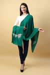 Shop_Modarta_Green Pashmina Placement Embroidered Shawl _Online_at_Aza_Fashions