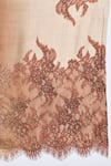 MODARTA_Brown Lace Ombre Swarovski Embellished Shawl _at_Aza_Fashions