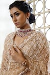 Vikram Phadnis_Beige Net Embroidery Cut Dana V Neck Blossom Bridal Lehenga Set _Online_at_Aza_Fashions