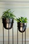Buy_Logam_Black Mild Steel Plain Nordic Planter - Set Of 2_at_Aza_Fashions