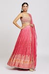 Jiya By Veer Design Studio_Pink Net, Silk Sequins, Traditional Elephant And Bandhani Print Lehenga Blouse Set _at_Aza_Fashions