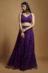 Buy Style Junkiie Purple Georgette Embroidery Self Butti Flared Pant at Aza Fashions Buy_Style Junkiie_Purple Georgette Embroidery Self Butti Flared Pant _at_Aza_Fashions
